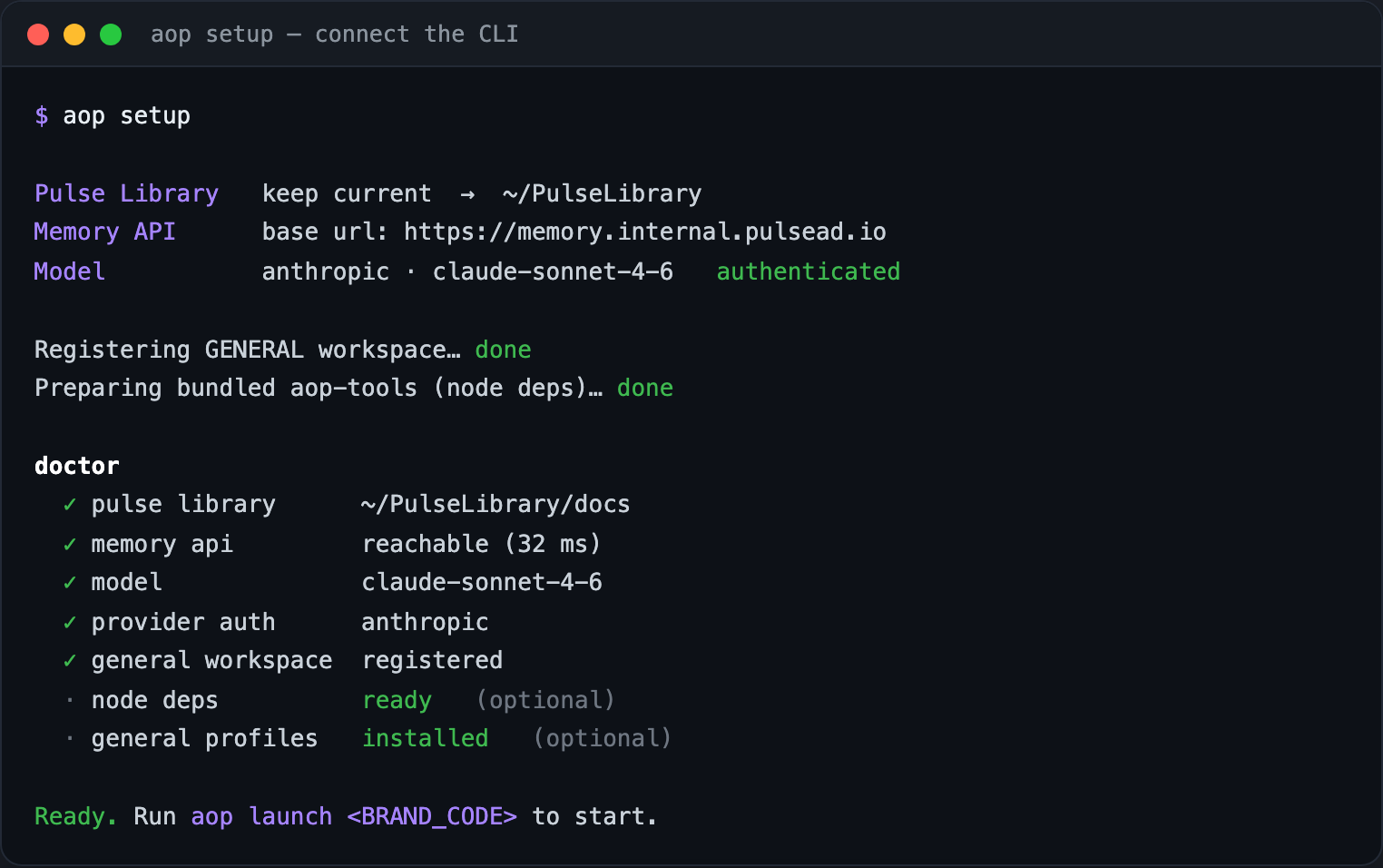 aop setup — connecting the Pulse Library, Memory API, and model, then the doctor report